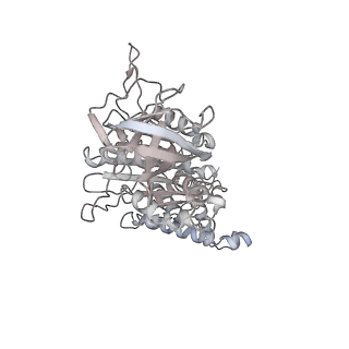 10525_6tml_D4_v1-1
Cryo-EM structure of Toxoplasma gondii mitochondrial ATP synthase hexamer, composite model