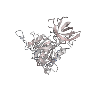 10525_6tml_D5_v1-1
Cryo-EM structure of Toxoplasma gondii mitochondrial ATP synthase hexamer, composite model