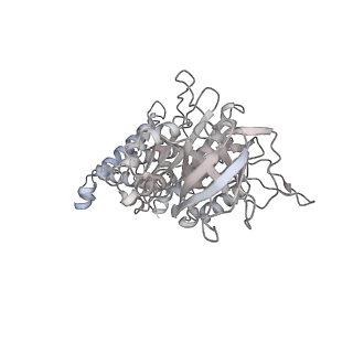 10525_6tml_D6_v1-1
Cryo-EM structure of Toxoplasma gondii mitochondrial ATP synthase hexamer, composite model