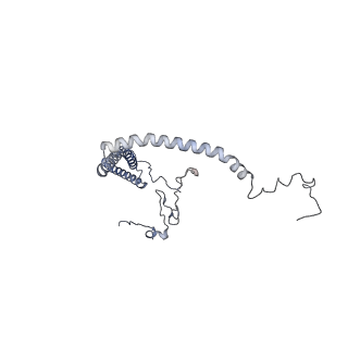 10525_6tml_D7_v1-1
Cryo-EM structure of Toxoplasma gondii mitochondrial ATP synthase hexamer, composite model