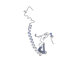 10525_6tml_D9_v1-1
Cryo-EM structure of Toxoplasma gondii mitochondrial ATP synthase hexamer, composite model