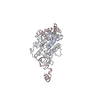10525_6tml_E1_v1-1
Cryo-EM structure of Toxoplasma gondii mitochondrial ATP synthase hexamer, composite model