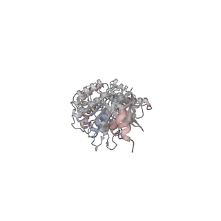 10525_6tml_E2_v1-1
Cryo-EM structure of Toxoplasma gondii mitochondrial ATP synthase hexamer, composite model