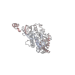 10525_6tml_E3_v1-1
Cryo-EM structure of Toxoplasma gondii mitochondrial ATP synthase hexamer, composite model