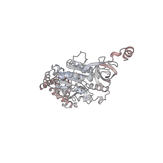 10525_6tml_E5_v1-1
Cryo-EM structure of Toxoplasma gondii mitochondrial ATP synthase hexamer, composite model