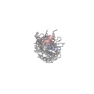 10525_6tml_E6_v1-1
Cryo-EM structure of Toxoplasma gondii mitochondrial ATP synthase hexamer, composite model