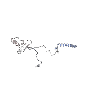 10525_6tml_E8_v1-1
Cryo-EM structure of Toxoplasma gondii mitochondrial ATP synthase hexamer, composite model