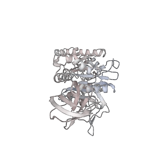 10525_6tml_F1_v1-1
Cryo-EM structure of Toxoplasma gondii mitochondrial ATP synthase hexamer, composite model