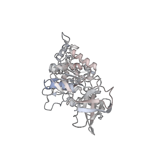 10525_6tml_F2_v1-1
Cryo-EM structure of Toxoplasma gondii mitochondrial ATP synthase hexamer, composite model