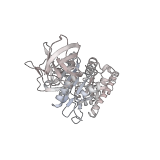 10525_6tml_F3_v1-1
Cryo-EM structure of Toxoplasma gondii mitochondrial ATP synthase hexamer, composite model