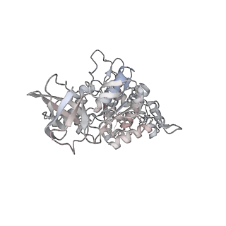 10525_6tml_F4_v1-1
Cryo-EM structure of Toxoplasma gondii mitochondrial ATP synthase hexamer, composite model