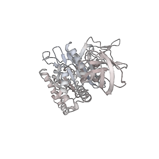 10525_6tml_F5_v1-1
Cryo-EM structure of Toxoplasma gondii mitochondrial ATP synthase hexamer, composite model