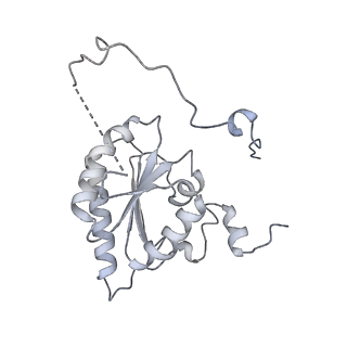 10525_6tml_F9_v1-1
Cryo-EM structure of Toxoplasma gondii mitochondrial ATP synthase hexamer, composite model
