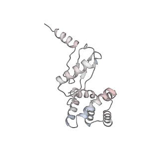 10525_6tml_G1_v1-1
Cryo-EM structure of Toxoplasma gondii mitochondrial ATP synthase hexamer, composite model