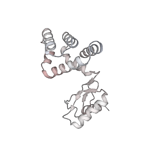 10525_6tml_G2_v1-1
Cryo-EM structure of Toxoplasma gondii mitochondrial ATP synthase hexamer, composite model