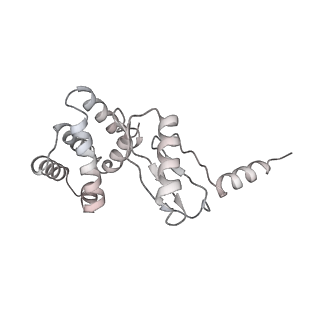 10525_6tml_G3_v1-1
Cryo-EM structure of Toxoplasma gondii mitochondrial ATP synthase hexamer, composite model