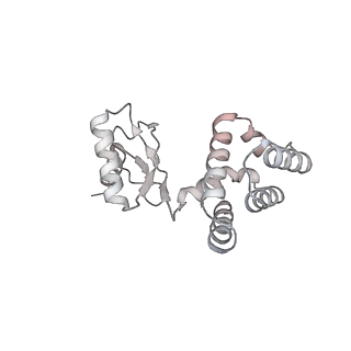 10525_6tml_G4_v1-1
Cryo-EM structure of Toxoplasma gondii mitochondrial ATP synthase hexamer, composite model