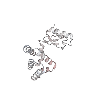 10525_6tml_G6_v1-1
Cryo-EM structure of Toxoplasma gondii mitochondrial ATP synthase hexamer, composite model