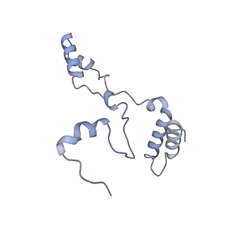 10525_6tml_G7_v1-1
Cryo-EM structure of Toxoplasma gondii mitochondrial ATP synthase hexamer, composite model