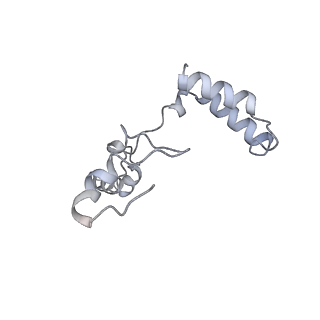 10525_6tml_G8_v1-1
Cryo-EM structure of Toxoplasma gondii mitochondrial ATP synthase hexamer, composite model