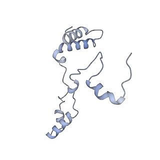 10525_6tml_G9_v1-1
Cryo-EM structure of Toxoplasma gondii mitochondrial ATP synthase hexamer, composite model