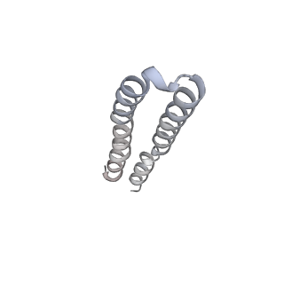 10525_6tml_H5_v1-1
Cryo-EM structure of Toxoplasma gondii mitochondrial ATP synthase hexamer, composite model