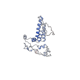 10525_6tml_H7_v1-1
Cryo-EM structure of Toxoplasma gondii mitochondrial ATP synthase hexamer, composite model