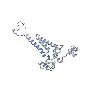 10525_6tml_H8_v1-1
Cryo-EM structure of Toxoplasma gondii mitochondrial ATP synthase hexamer, composite model