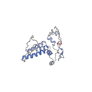 10525_6tml_H9_v1-1
Cryo-EM structure of Toxoplasma gondii mitochondrial ATP synthase hexamer, composite model