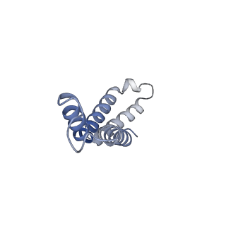 10525_6tml_I8_v1-1
Cryo-EM structure of Toxoplasma gondii mitochondrial ATP synthase hexamer, composite model
