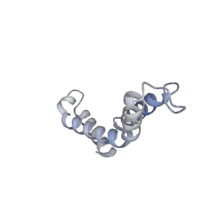 10525_6tml_I9_v1-1
Cryo-EM structure of Toxoplasma gondii mitochondrial ATP synthase hexamer, composite model