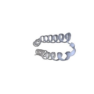10525_6tml_J6_v1-1
Cryo-EM structure of Toxoplasma gondii mitochondrial ATP synthase hexamer, composite model