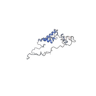 10525_6tml_J7_v1-1
Cryo-EM structure of Toxoplasma gondii mitochondrial ATP synthase hexamer, composite model
