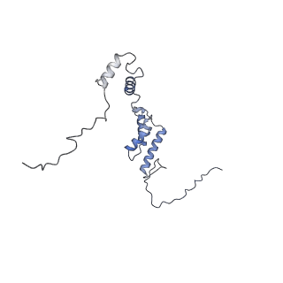 10525_6tml_J8_v1-1
Cryo-EM structure of Toxoplasma gondii mitochondrial ATP synthase hexamer, composite model