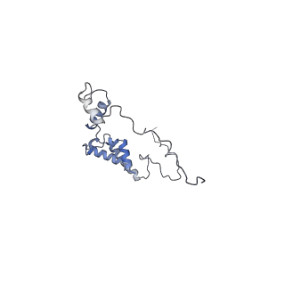 10525_6tml_J9_v1-1
Cryo-EM structure of Toxoplasma gondii mitochondrial ATP synthase hexamer, composite model