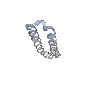10525_6tml_K4_v1-1
Cryo-EM structure of Toxoplasma gondii mitochondrial ATP synthase hexamer, composite model