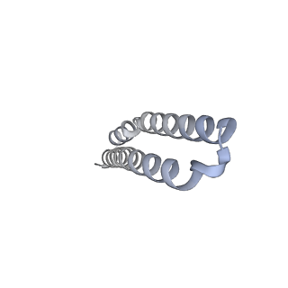 10525_6tml_K6_v1-1
Cryo-EM structure of Toxoplasma gondii mitochondrial ATP synthase hexamer, composite model