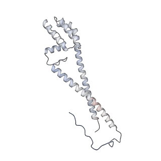 10525_6tml_L8_v1-1
Cryo-EM structure of Toxoplasma gondii mitochondrial ATP synthase hexamer, composite model