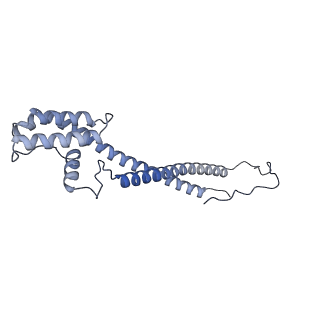 10525_6tml_L9_v1-1
Cryo-EM structure of Toxoplasma gondii mitochondrial ATP synthase hexamer, composite model