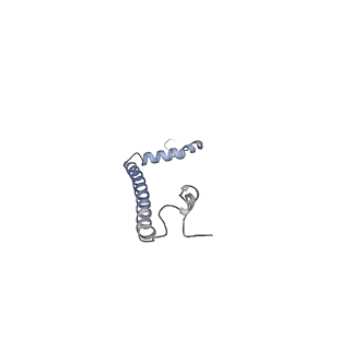 10525_6tml_M7_v1-1
Cryo-EM structure of Toxoplasma gondii mitochondrial ATP synthase hexamer, composite model
