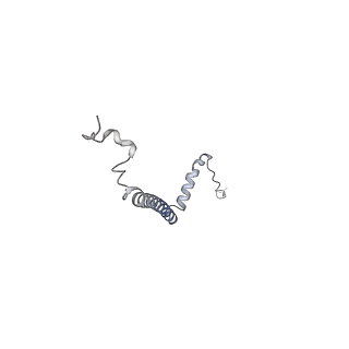 10525_6tml_M8_v1-1
Cryo-EM structure of Toxoplasma gondii mitochondrial ATP synthase hexamer, composite model