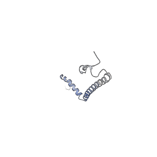 10525_6tml_M9_v1-1
Cryo-EM structure of Toxoplasma gondii mitochondrial ATP synthase hexamer, composite model