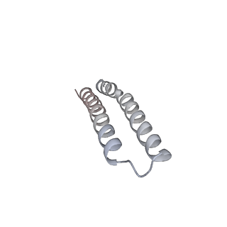 10525_6tml_N1_v1-1
Cryo-EM structure of Toxoplasma gondii mitochondrial ATP synthase hexamer, composite model