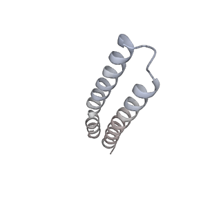10525_6tml_N5_v1-1
Cryo-EM structure of Toxoplasma gondii mitochondrial ATP synthase hexamer, composite model