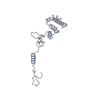 10525_6tml_N7_v1-1
Cryo-EM structure of Toxoplasma gondii mitochondrial ATP synthase hexamer, composite model