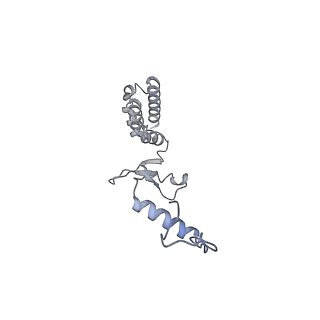 10525_6tml_N8_v1-1
Cryo-EM structure of Toxoplasma gondii mitochondrial ATP synthase hexamer, composite model