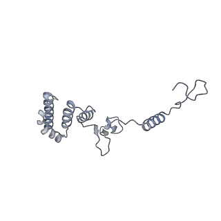 10525_6tml_N9_v1-1
Cryo-EM structure of Toxoplasma gondii mitochondrial ATP synthase hexamer, composite model
