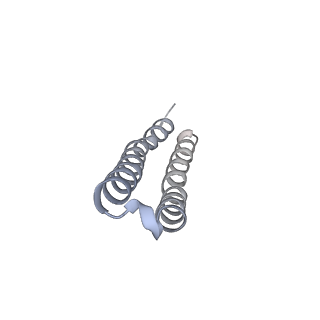 10525_6tml_O2_v1-1
Cryo-EM structure of Toxoplasma gondii mitochondrial ATP synthase hexamer, composite model