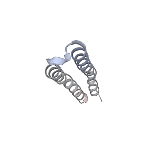 10525_6tml_O4_v1-1
Cryo-EM structure of Toxoplasma gondii mitochondrial ATP synthase hexamer, composite model