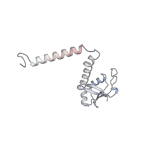 10525_6tml_O8_v1-1
Cryo-EM structure of Toxoplasma gondii mitochondrial ATP synthase hexamer, composite model